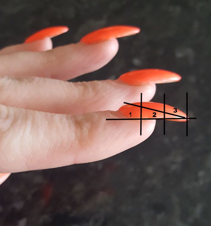 How long should you leave in-between nail appointments?