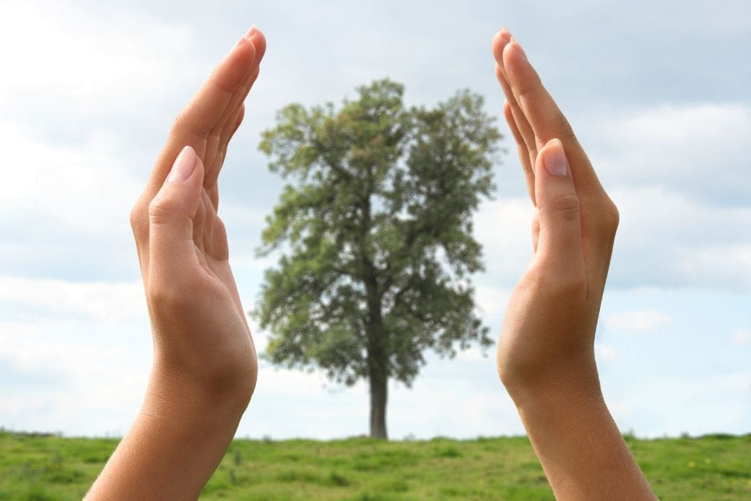 How to make your nail and beauty salon more sustainable