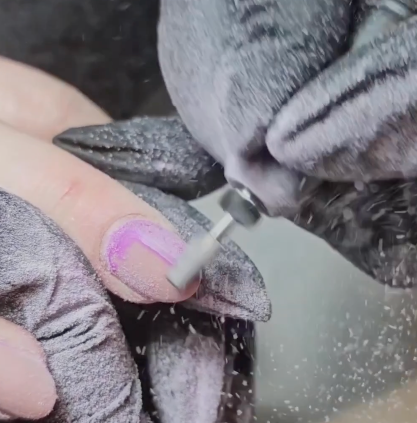 How to choose the right e-file bit for every nail service