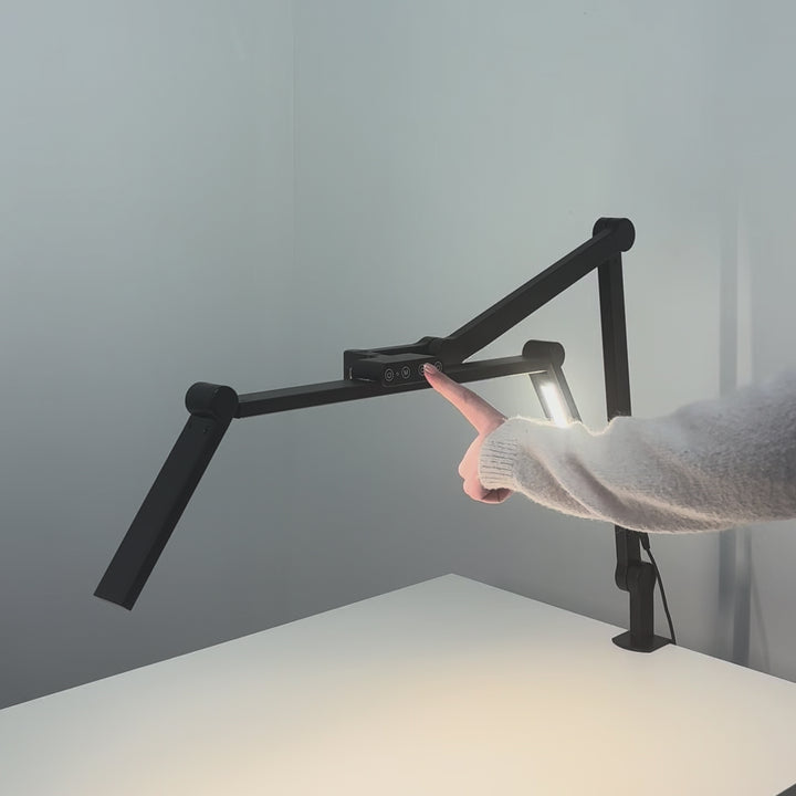 Katie Barnes LED Flexible Desk Light with Clamp