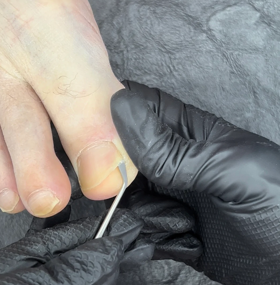 Black DG-Maxim Nitrile Gloves for Nail Techs